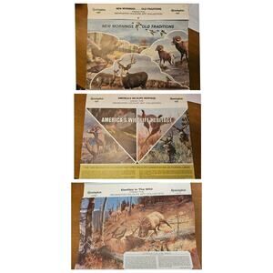 1980s Vintage Remington Dupont Calendar Lot of 3 Hunting & Wildlife Memorabilia
